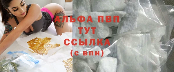 сатива Струнино