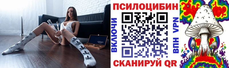 Галлюциногенные грибы мухоморы  Купить  Кущёвская 